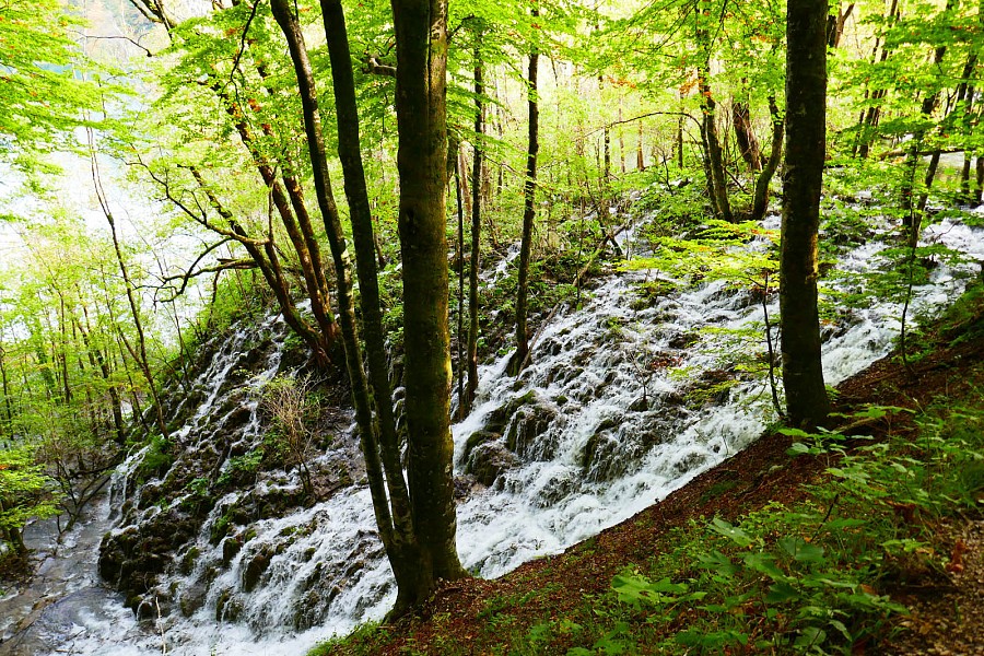 Plitvice 20 Plitvice 20